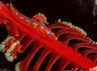  我看到我没有看到 